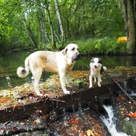 דירה Haraneko Errota Aranguren (Biscay)