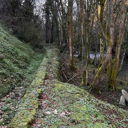 Haraneko Errota דירה *