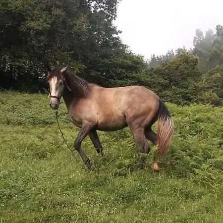 Haraneko Errota * Aranguren (Biscay)