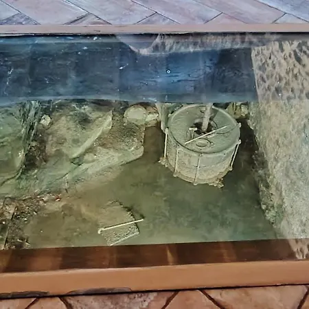 Apartman Haraneko Errota *